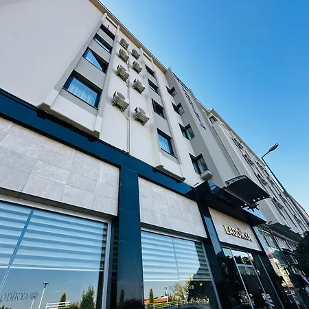 酒店 老迪卡亚酒店 3*